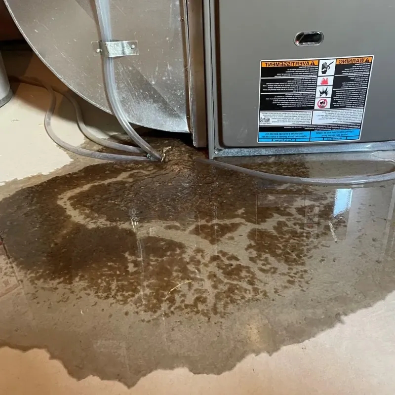 Pipe Burst and Leak Restoration in Kent County, RI