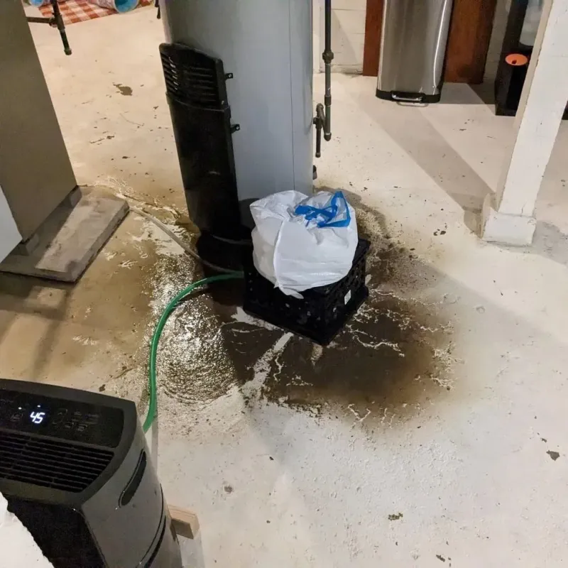 Sewage Backup Cleanup Service in Kent County, RI